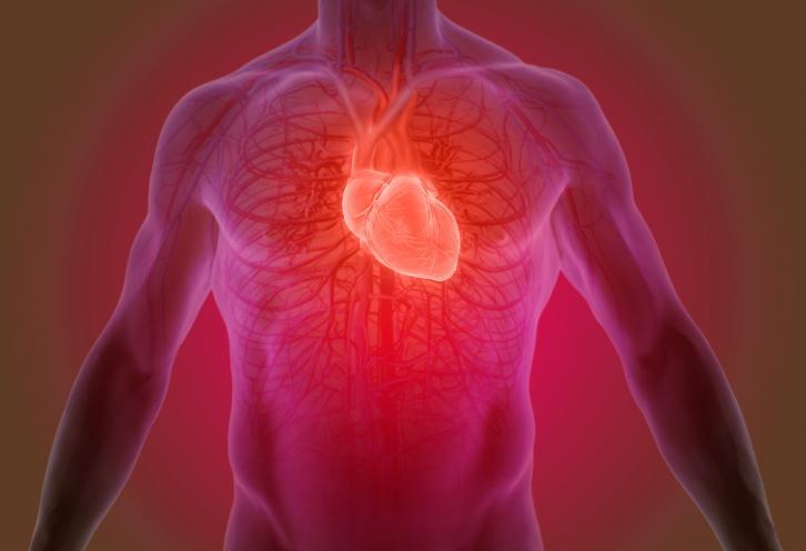 Cardio Thoracale Chirurgie